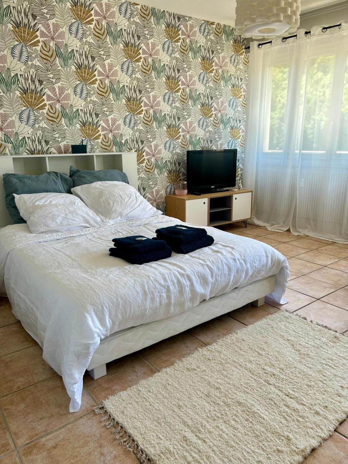 Studio Cosy De 30 M2 Au Coeur Des Thermes ロワイヤ エクステリア 写真